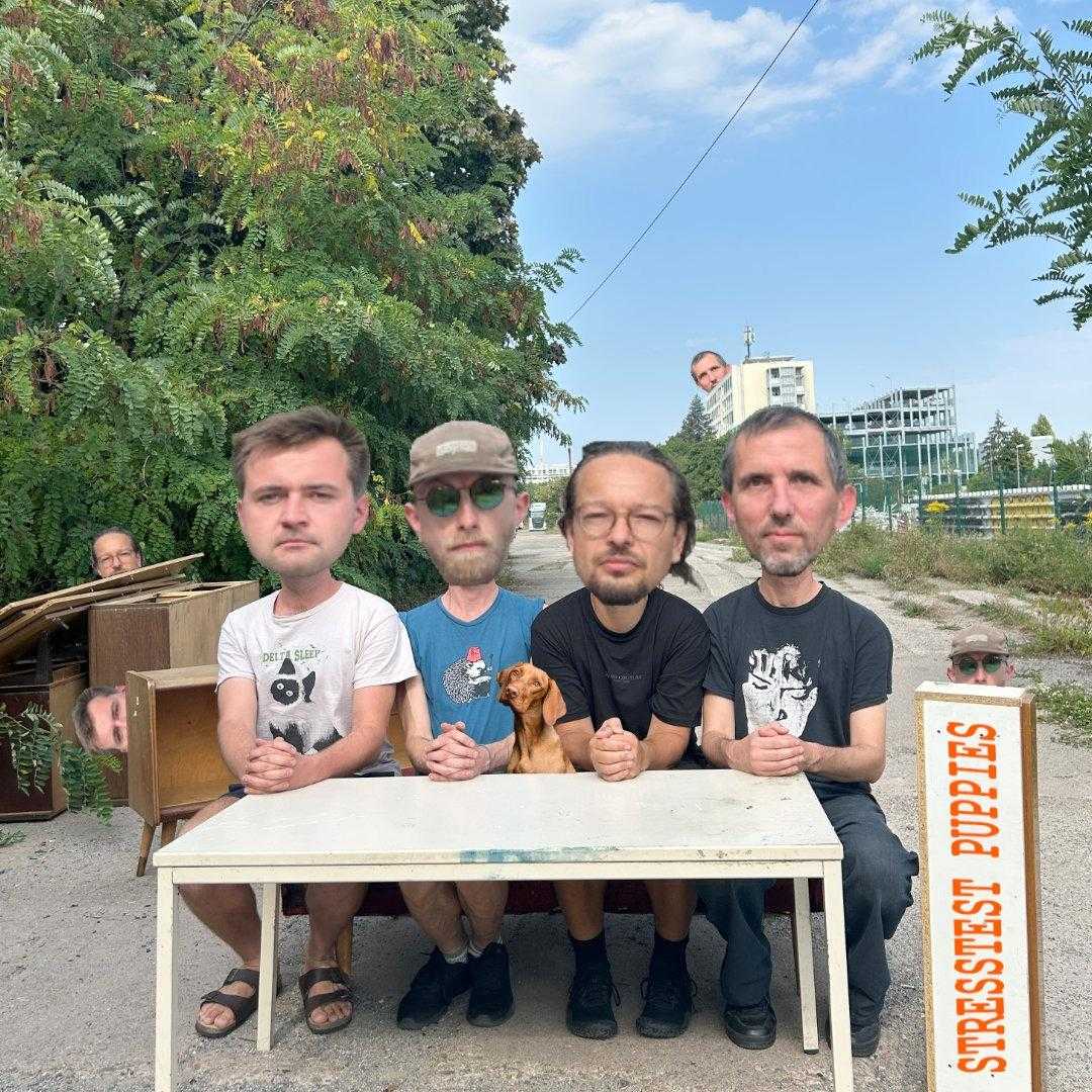 Bild der Band Stresstest Puppies